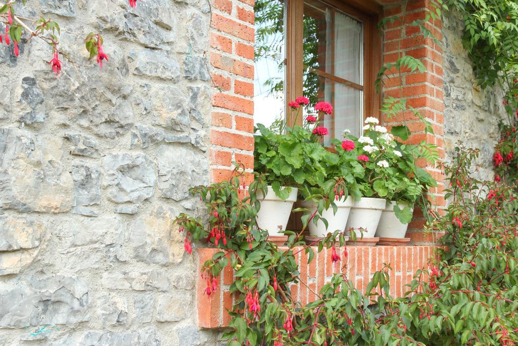 Casa Ines Affittacamere Villaviciosa  Esterno foto