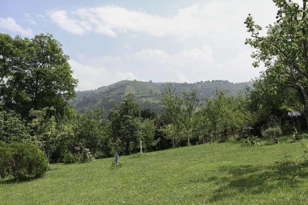 Casa Ines Affittacamere Villaviciosa  Esterno foto